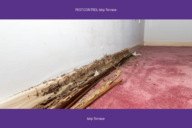 PEST CONTROL Islip Terrace